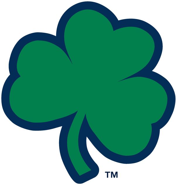 Notre Dame Fighting Irish 1994-Pres Alternate Logo t shirts DIY iron ons v6